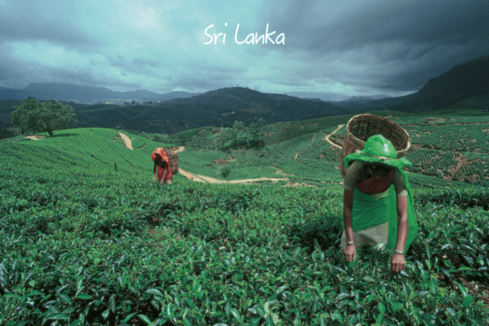 GrandesViagens-Srilanka