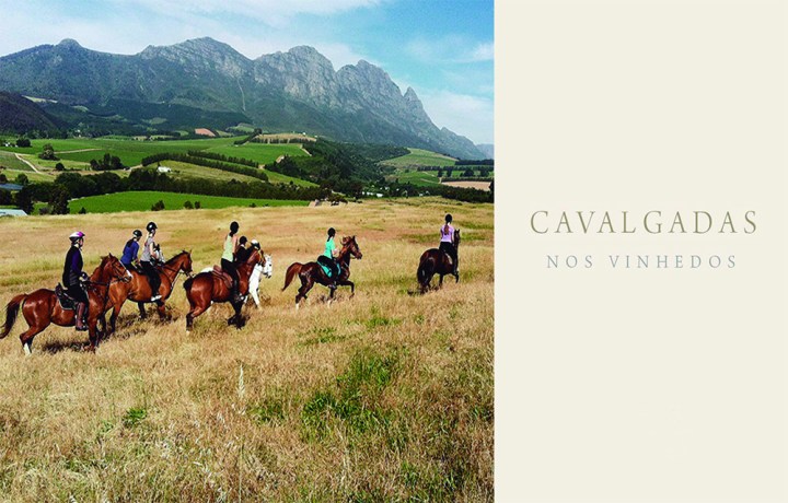 (Microsoft Word - 301frica do Sul_Novas Experi352ncias_2017)