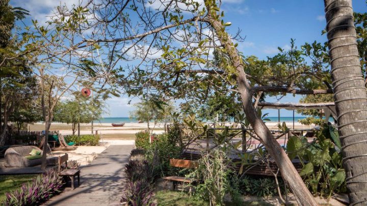 B1A8258-giardino-di-mattino-taglio-maschera-1024x576