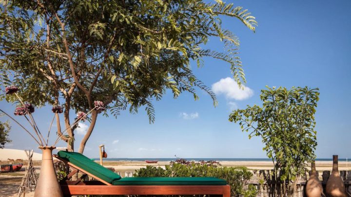 MG_8226-pigrissadera-na-praia-base-1024x576