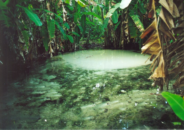 Fervedouro - Jalapão - foto - Fred Borges