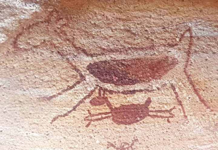 Pinturas Rupestres4