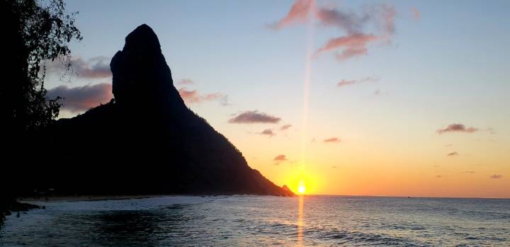 4982188d-ab6c-411f-98a2-bf676b674103