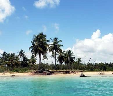 ff132522-4f69-4f7d-bfd6-b2327454413a