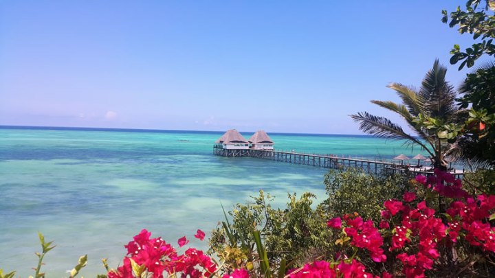 zanzibar04