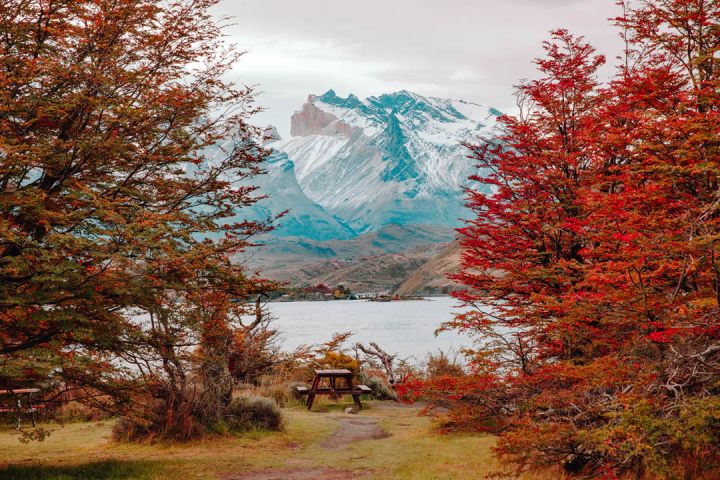 PATAGONIA