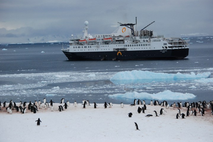 DSC_8236 Paula Talaba