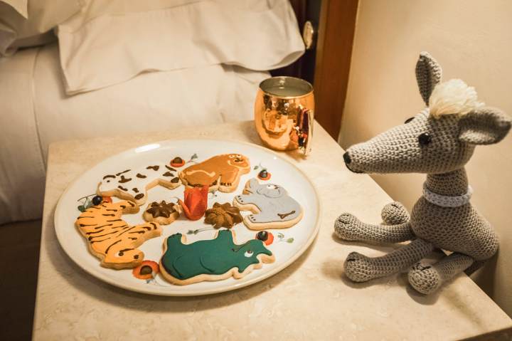 fg8a3160-copia_4_orig