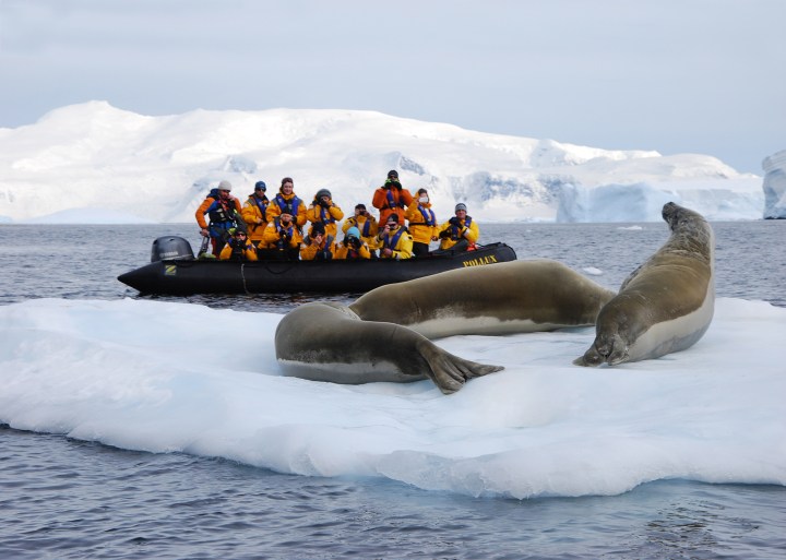 QuarkExp_IslandSky_seals